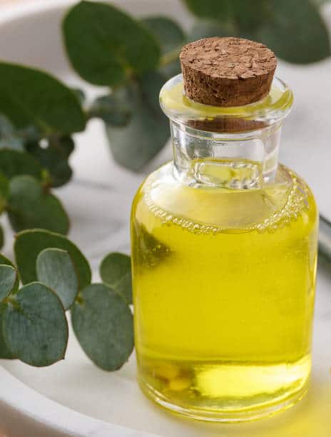 tea tree oil